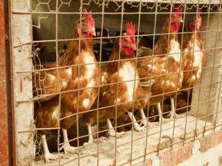 Reflection 15 #3 Reflection 15 #3