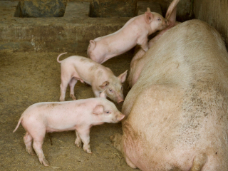 Reflection 15 #2 Reflection 15 #2