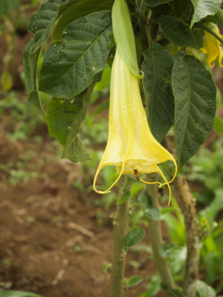 Reflection 15 #4 Reflection 15 #4