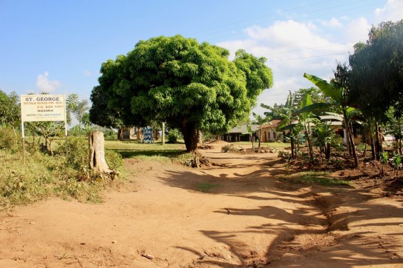 a-girls-path-to-progress